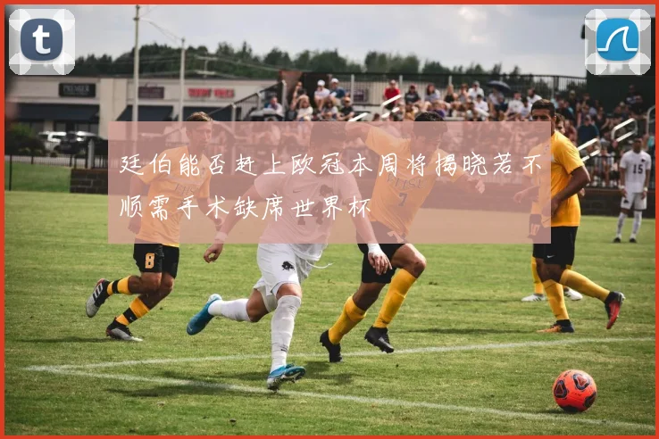 廷伯能否赶上欧冠本周将揭晓若不顺需手术缺席世界杯